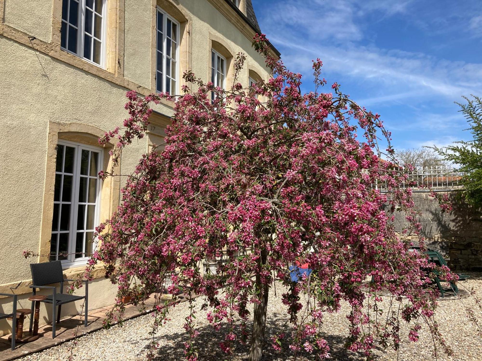 Maison Les Beaux Arts Mouzay  Exteriör bild